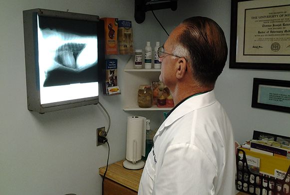 Dr. Rainey Looking at a X-Ray